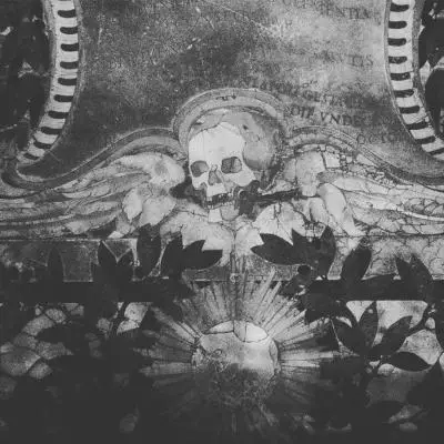 Monpierre - Tatouage Nantes - roma skull anatomy
