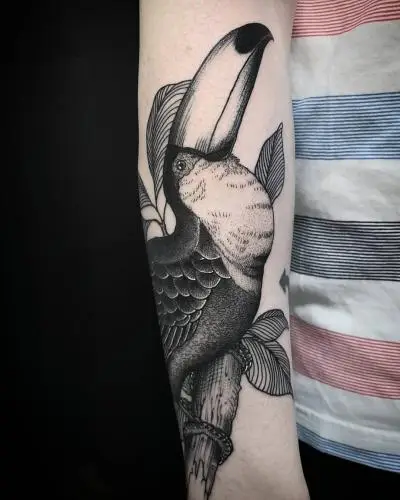 Ornela - Tatouage Nantes - toucan toucantattoo birdtattoo