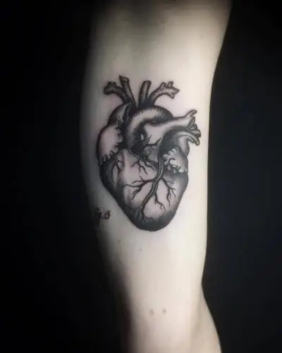Monpierre - Tatouage Nantes - vintage 1900 anatomy