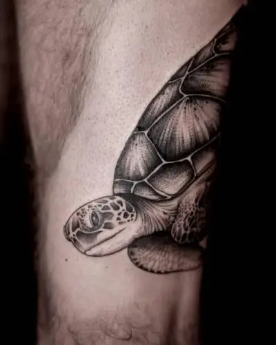 Ornela - Tatouage Nantes - whipshading darkart nantestattoo