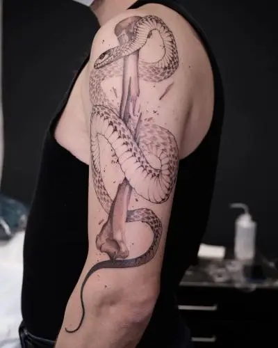 Drop - Tatouage Nantes - snake snaketattoo snaketattoos