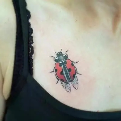 Ariane - Tatouage Nantes - ladybug ladybugtattoo tattoooftheday