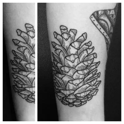 Ornela - Tatouage Nantes - pommedepin pinecone pineconetattoo
