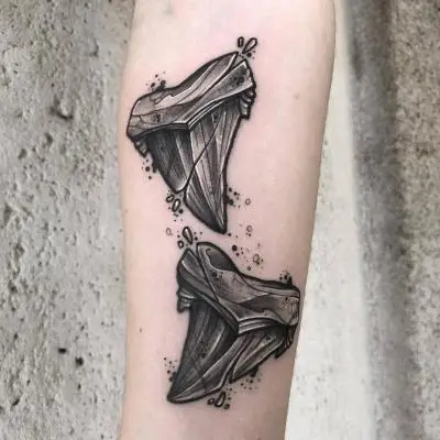 La Barbe - Tatouage Nantes - sharkteeth shark sharktattoo