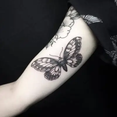 Monpierre - Tatouage Nantes - artoftheday mothtattoo blackworktattoo