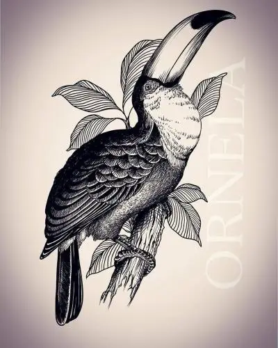 Ornela - Tatouage Nantes - tattoo toucantattoo toucan