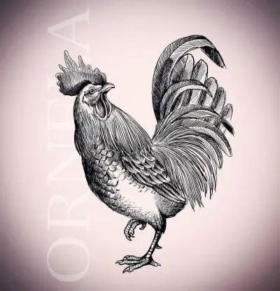 Ornela - Tatouage Nantes - tattoo naoned tattooproject