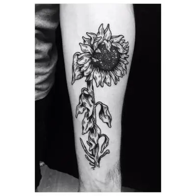 Ornela - Tatouage Nantes - sunflower sunflowertattoo tattoo
