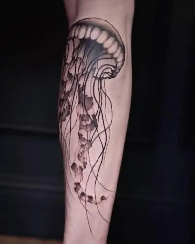Ornela - Tatouage Nantes - tattoo nantes meduse